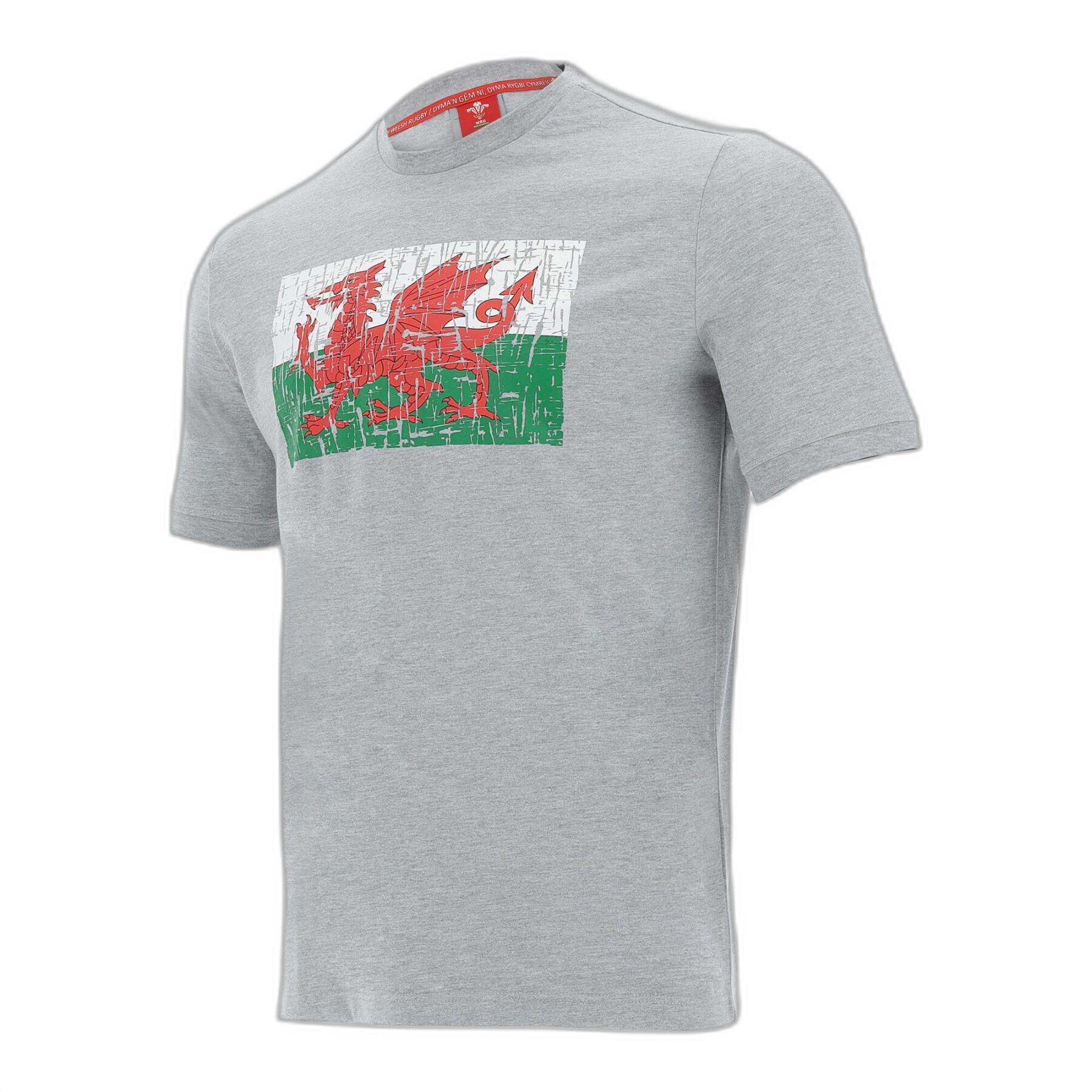 Camiseta de algodón Pays de Galles Rugby XV 2020/21