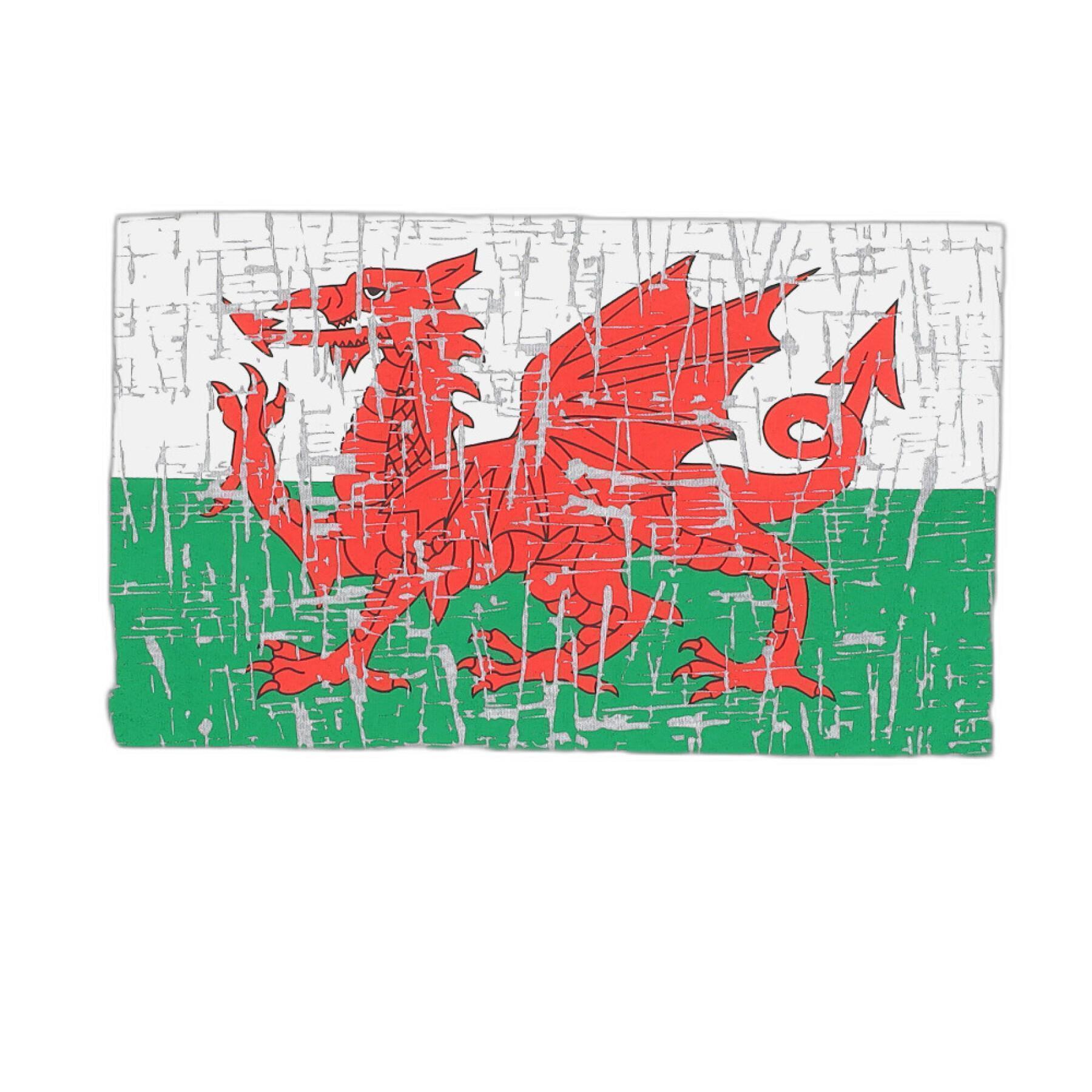 Camiseta para niños Pays de Galles Rugby XV 2020/21