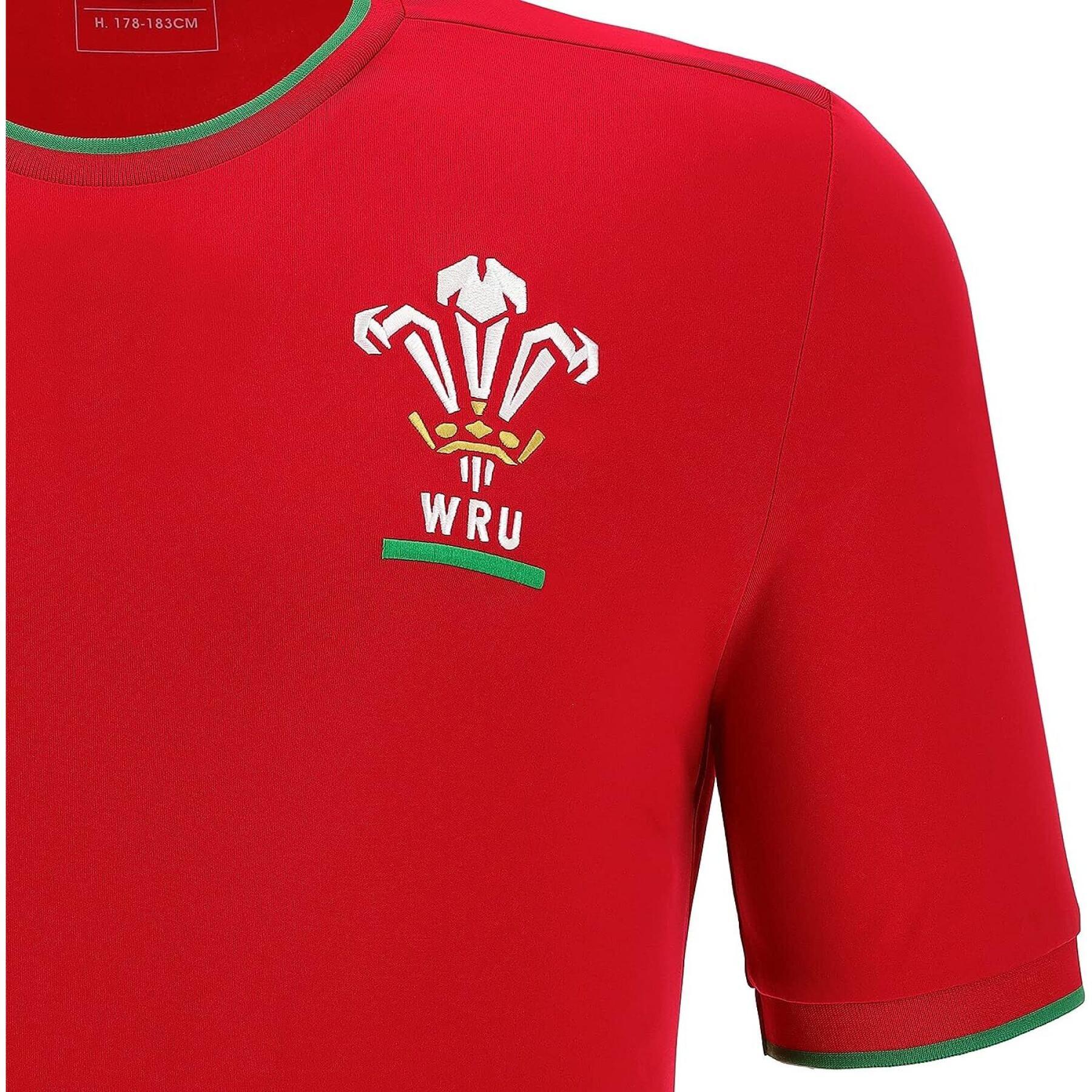 Camiseta Pays de Galles Ca Groc