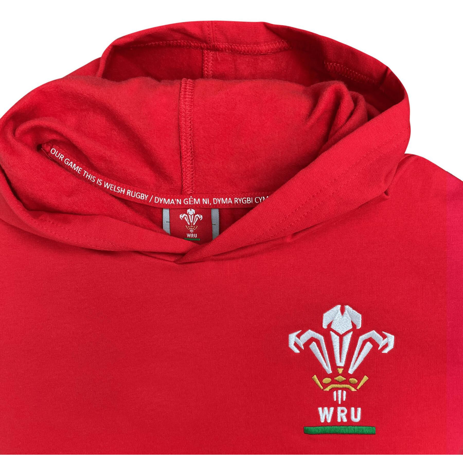 Sudadera con capucha Gales Rugby XV Merch CA Groc