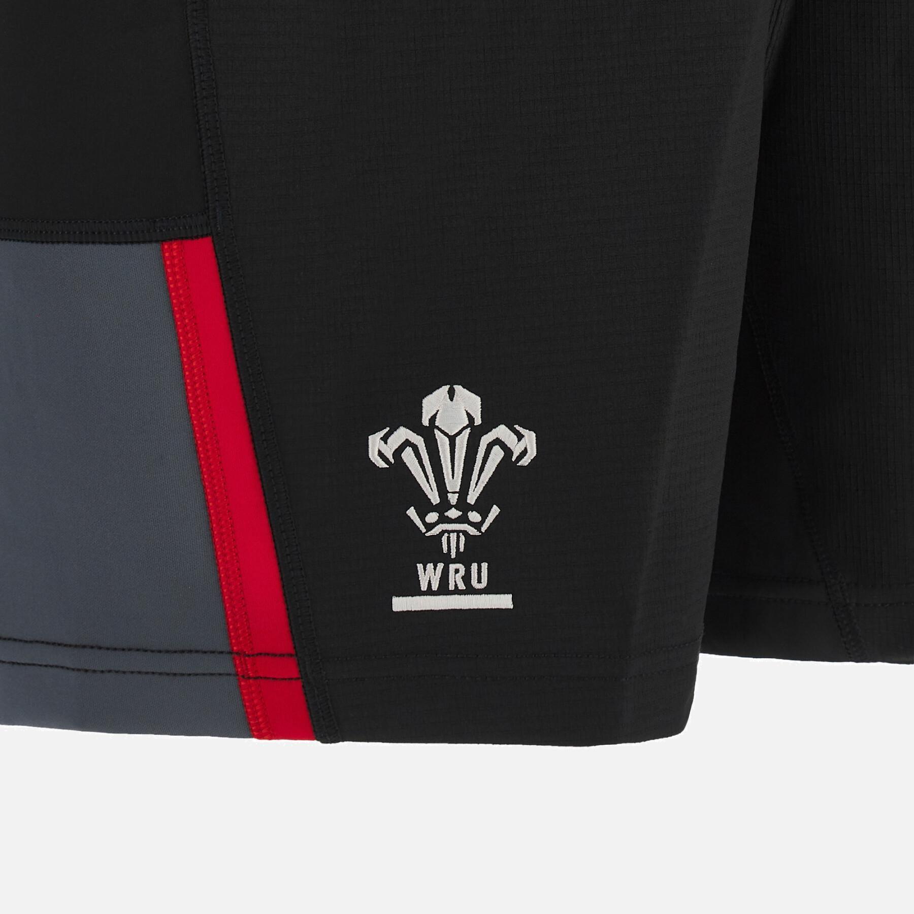 Pantalones cortos de entrenamiento para niños Pays de Galles XV 2022/23