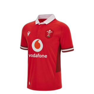 Camiseta primera equipación infantil Pays de Galles 2023/24