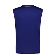 Camiseta de entrenamiento XV de France 2023/24