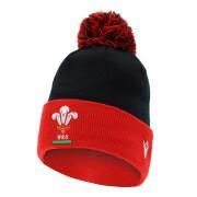 Gorro para niños con pompón Pays de Galles rugby 2020/21