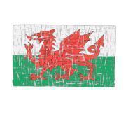 Camiseta para niños Pays de Galles Rugby XV 2020/21