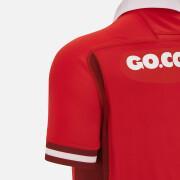 Camiseta primera equipación Pays de Galles 2023/24