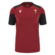 Camiseta de entrenamiento Pays de Galles 6NT 2023