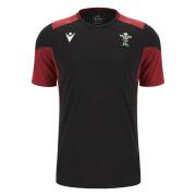 Camiseta de entrenamiento Pays de Galles 6NT 2023